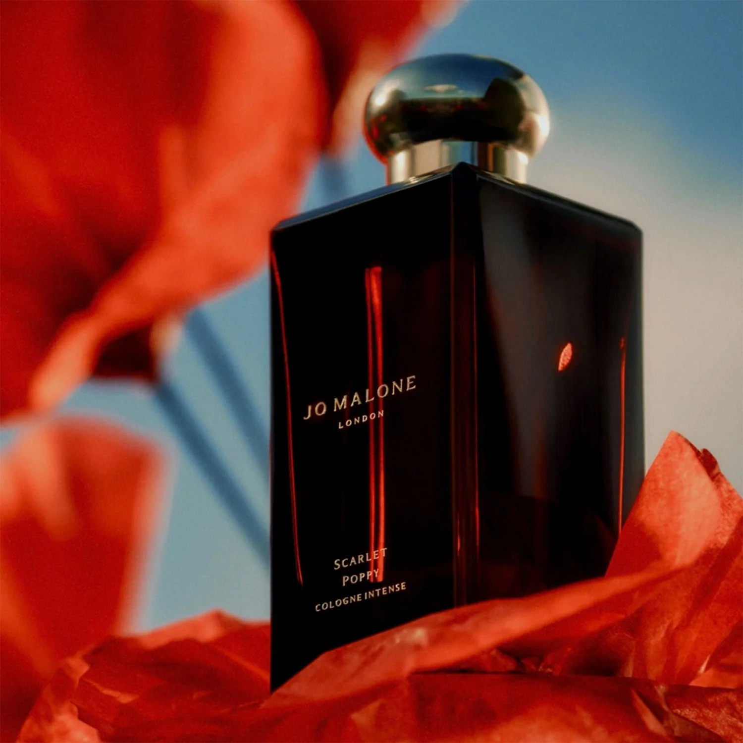 Jo Malone London Scarlet Poppy Cologne Intense Pre-Pack Scarlett Poppy-WN 50.0 ml, bild 5