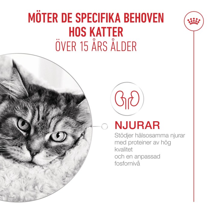 Royal Canin Ageing 15+ torrfoder för katt 2 kg, bild 5