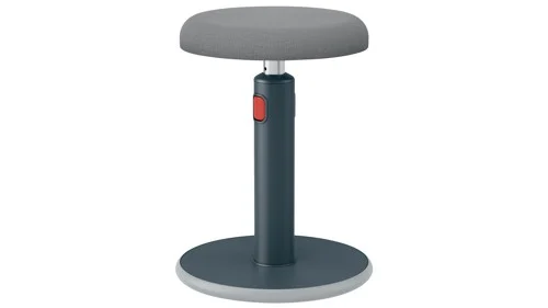 Leitz Ergo Cosy Active pall, bild 3