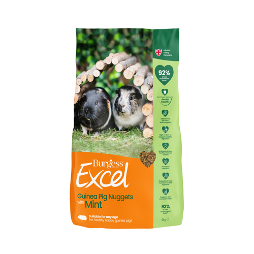 Burgess - Excel Guinea Pig Nuggets with Mint 9kg