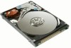 40 GB CoreParts 2.5" IDE, 5400 rpm