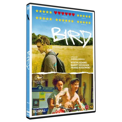 Bird - (DVD)