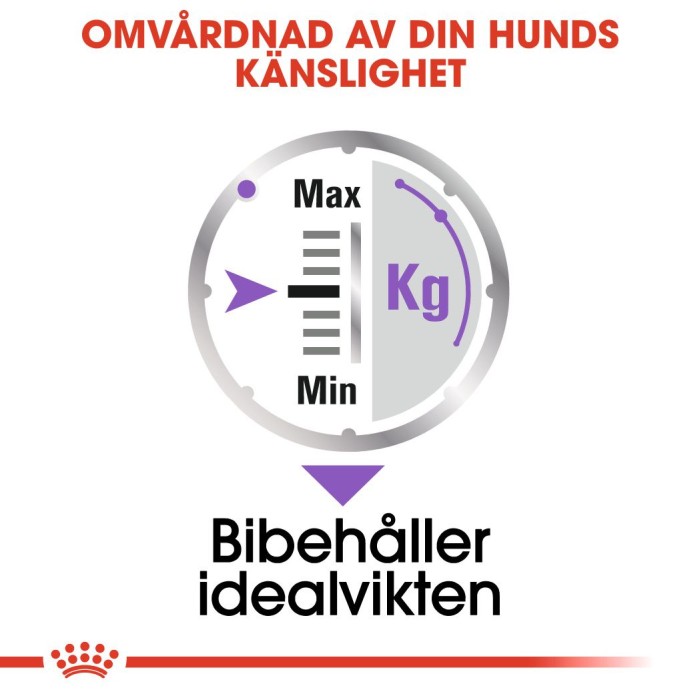 Royal Canin Sterilised Adult Loaf våtfoder för hund 12x85g, bild 4