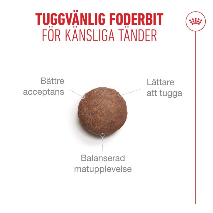 Royal Canin Ageing 15+ torrfoder för katt 2 kg, bild 3