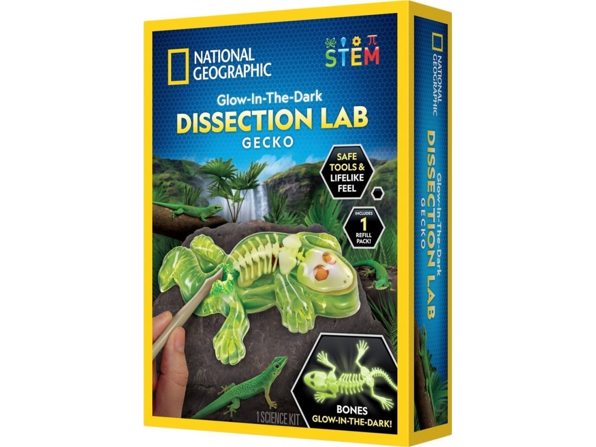 National Geographic - geckodissektionslabb