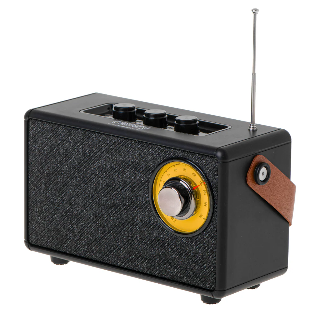 Camry CR 1902 B bärbar högtalare FM-radio Bluetooth svart