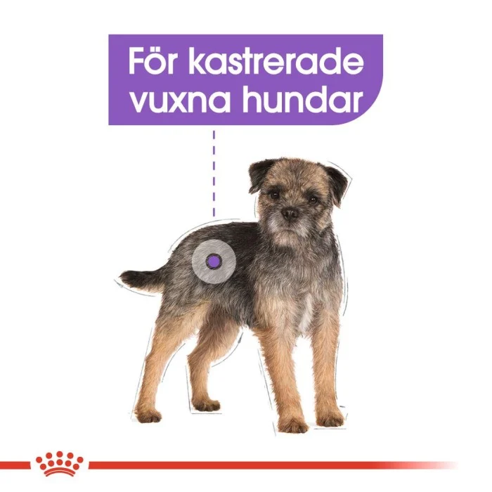 Royal Canin Sterilised Mini Adult Torrfoder för hund 8 kg, bild 4