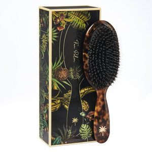 Fan Palm Medium Turtle brush
