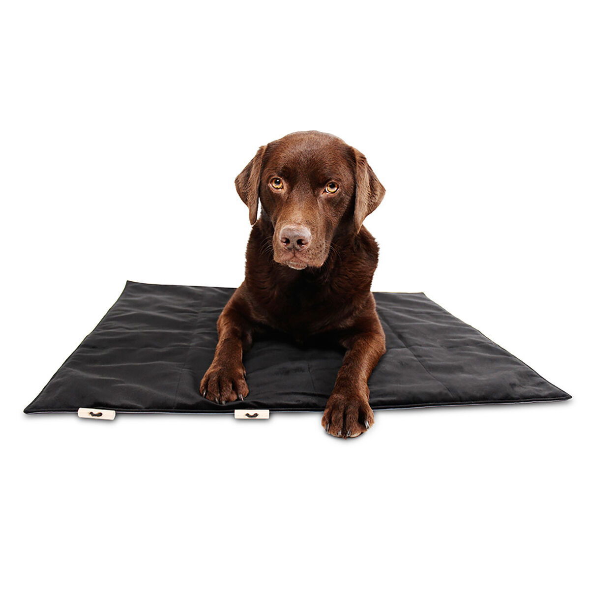 Bia Travel Outdoor Hundmadrass Svart