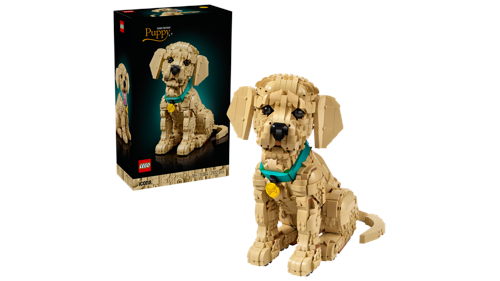 LEGO Icons Golden retriever-valp 11384, bild 3