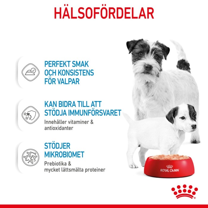 Royal Canin Mother & Babydog Starter Mousse våtfoder för hund och hundvalp 195 g, bild 4