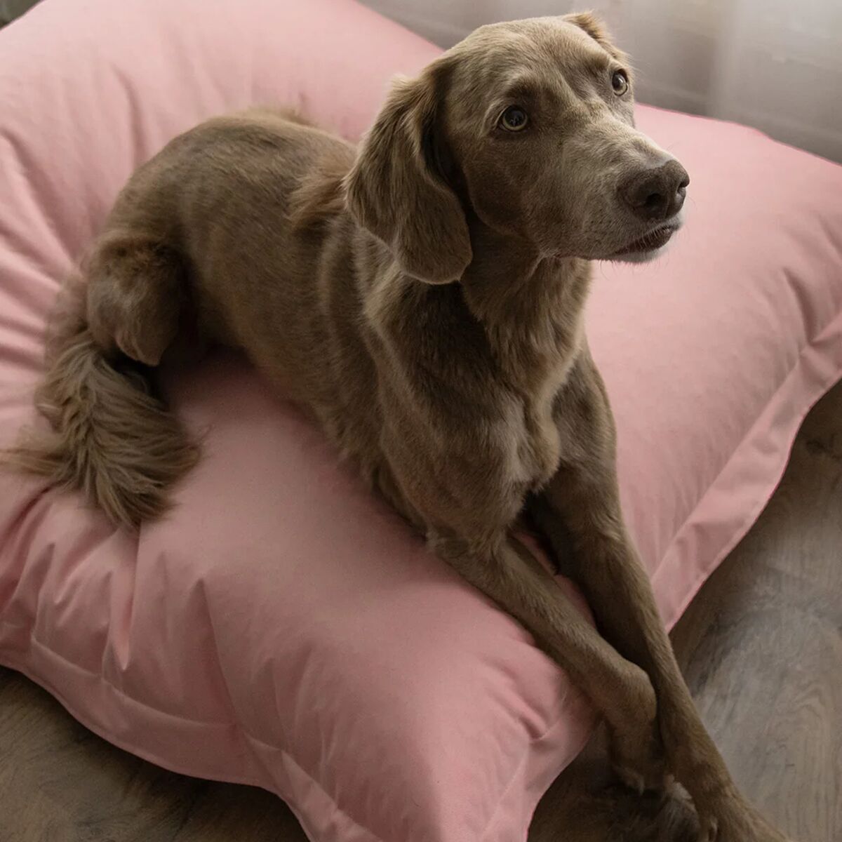 PAIKKA Lazy Hundbädd Rosa 150x120cm