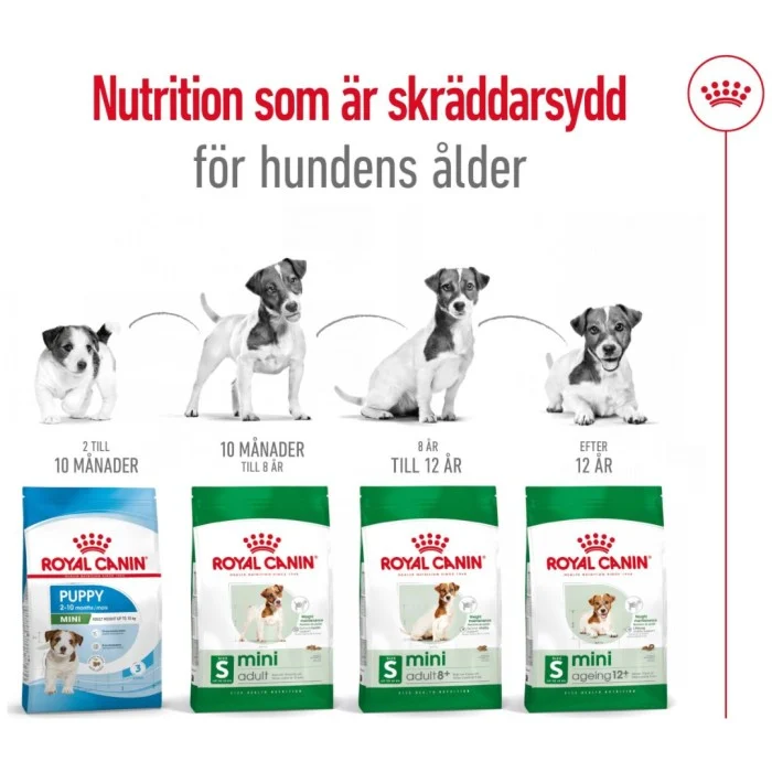 Royal Canin Mini Adult Torrfoder för hund 2 kg, bild 5