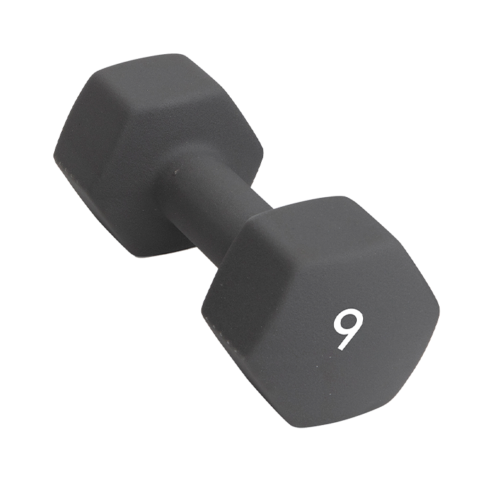Abilica DumbBell 9 kg