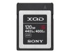 Minneskort XQD G Series High Speed 120GB