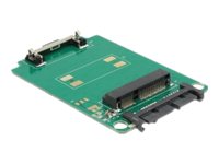 Delock Converter Micro SATA 16 Pin > mSATA full size - Kontrollerkort - mSATA - SATA 3Gb/s - SATA 3Gb/s