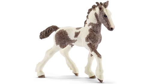 Schleich - Tinker Foal (13774), bild 3