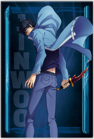 Solo Leveling Jinwoo Standard Magnet