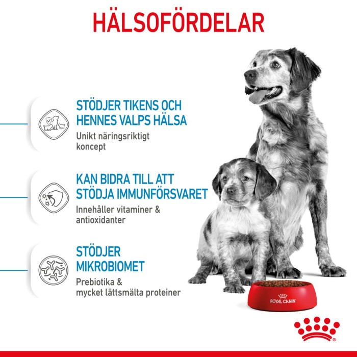 Royal Canin Medium Starter torrfoder för hund och hundvalp 4 kg, bild 5