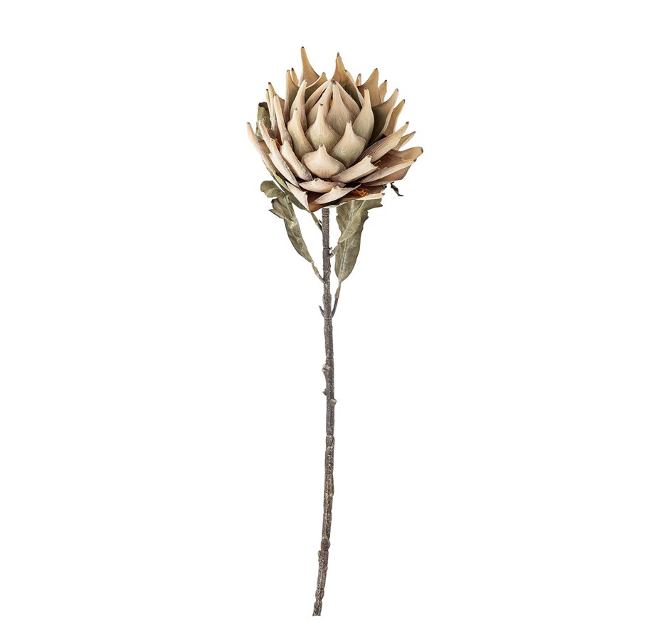 Bloomingville Protea-stjälk, natur, konstgjorda blommor, bild 2
