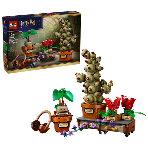 LEGO Harry Potter Hogwarts växter för örtlära 76474