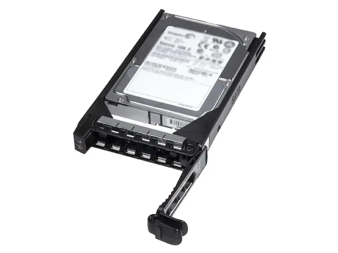 Dell - Hårddisk - 1 TB - inbyggd - 3.5 - SAS - nearline - 7200 rpm - för PowerEdge C6220, R220, R320, R420, R520, R720, T110, T320, T420, T430, T620, T630, VRTX
