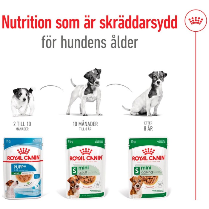 Royal Canin Mini Adult Gravy Våtfoder för hund 12x85 g, bild 5