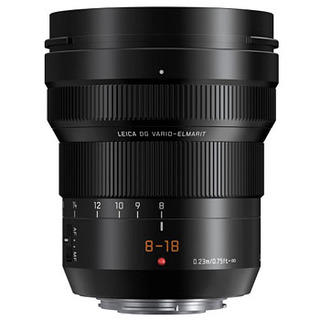 Panasonic Leica DG Vario-Elmarit 8-18/2.8-4 Asph.
