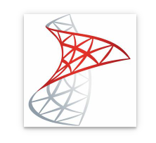 Microsoft SQL Server Standard 2022 Commercial Perpetual, E-licens 1 server