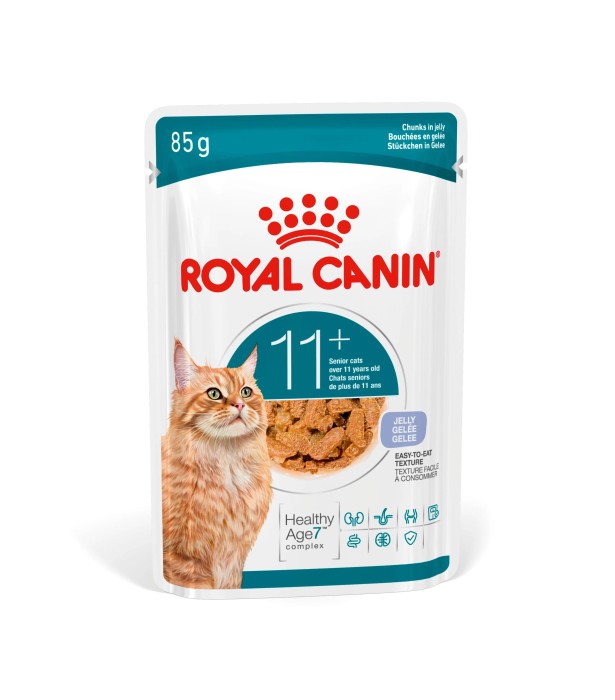 Royal Canin Ageing 11+ bitar i gelé våtfoder för katt 12x85 g, bild 2