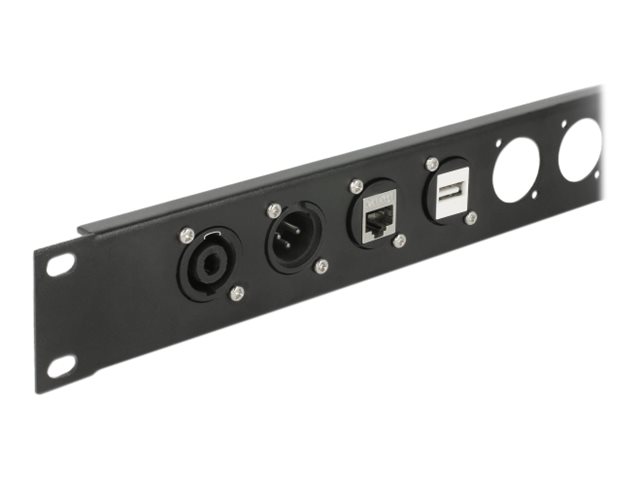 Delock D-Type-modul RJ45 Cat.6 hona till hona – svart