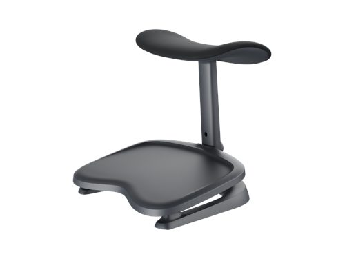 Libernovo Ergonomiskt Fotstöd med Dubbla Lager (för Omni Pro) - Graphite, bild 2