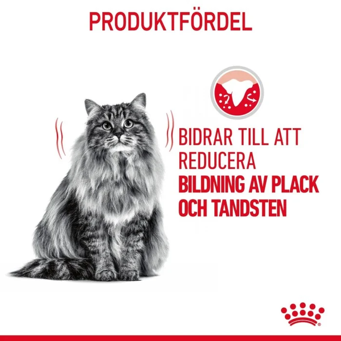 Royal Canin Dental Care Adult Torrfoder för katt 8 kg, bild 5