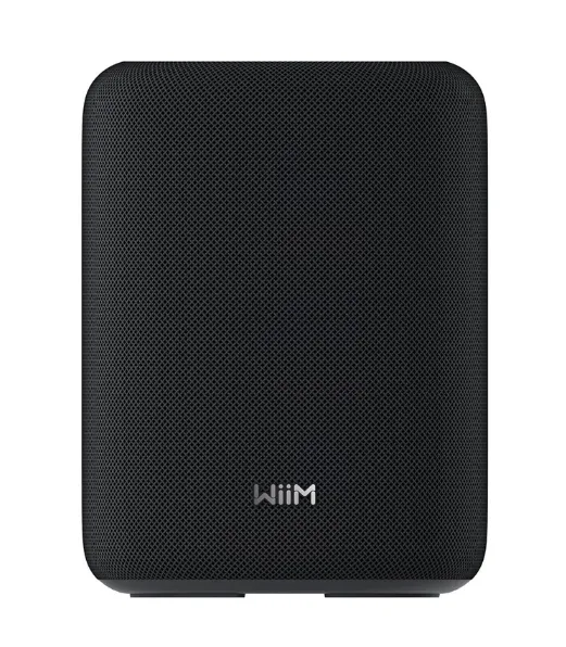 WiiM Sound Lite smart högtalare, svart