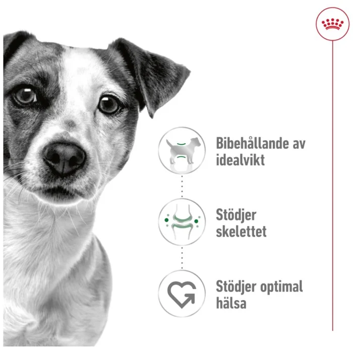 Royal Canin Mini Adult Torrfoder för hund 2 kg, bild 4