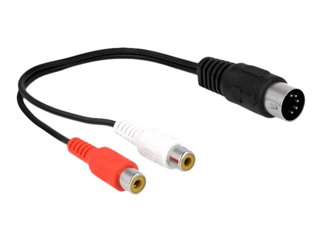 Delock - Ljudkabel - 5 pin DIN hane till RCA hona - 20 cm