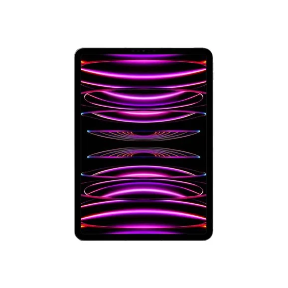 Apple iPad Pro Cellular 1 TB 11" Rymdgrå (2022)