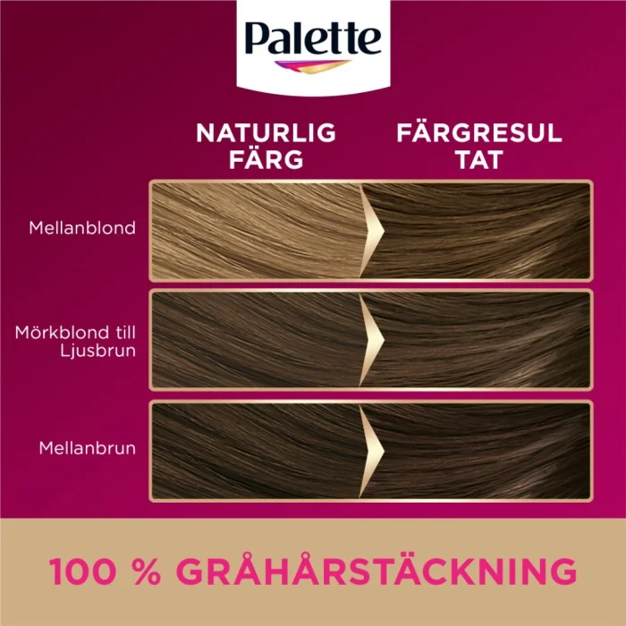 Palette Intensive Creme Coloration 6-0 Light Brown, bild 4