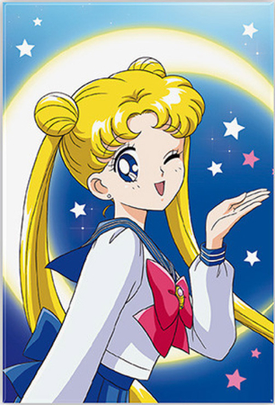 Sailor Moon Usagi Tsukino Standard Magnet