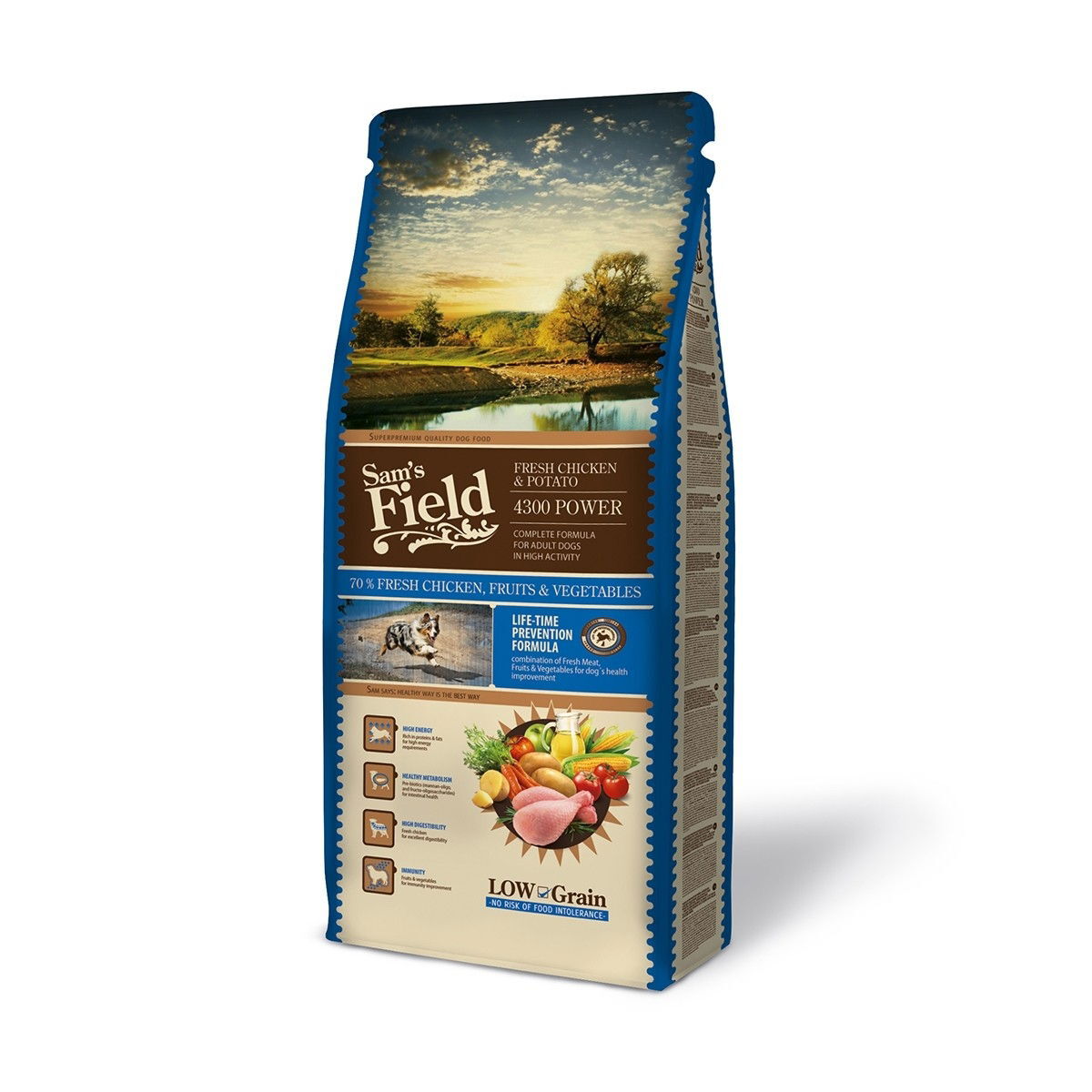 Sam's Field 4300 Power torrfoder för hund, kyckling, 13 kg, bild 2