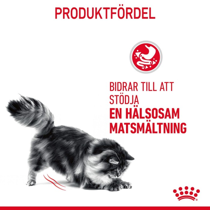 Royal Canin Digestive Care Adult torrfoder för katt 2 kg, bild 5