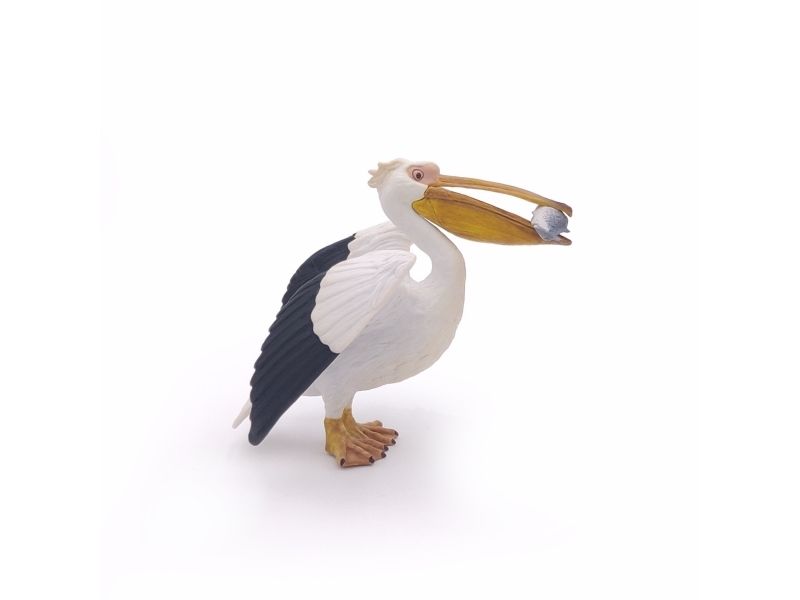 Papo 56009, 3 år, Marint liv, Mångfärgad, PVC