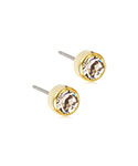Blomdahl Golden Titanium Crystal Bezel 5 mm