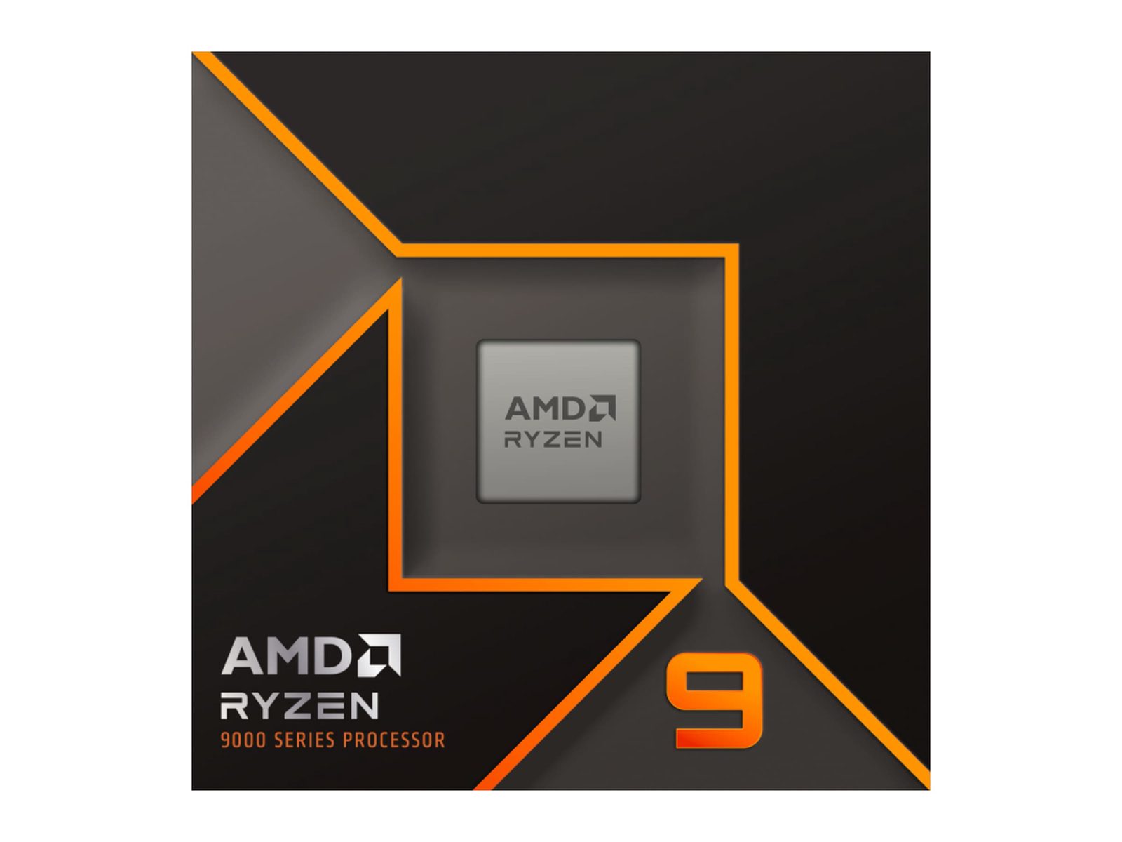 AMD Ryzen 9 9900X processor
