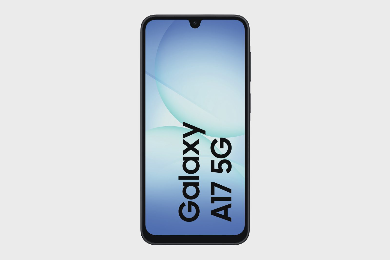 Samsung Galaxy A17 5G 128 GB, svart