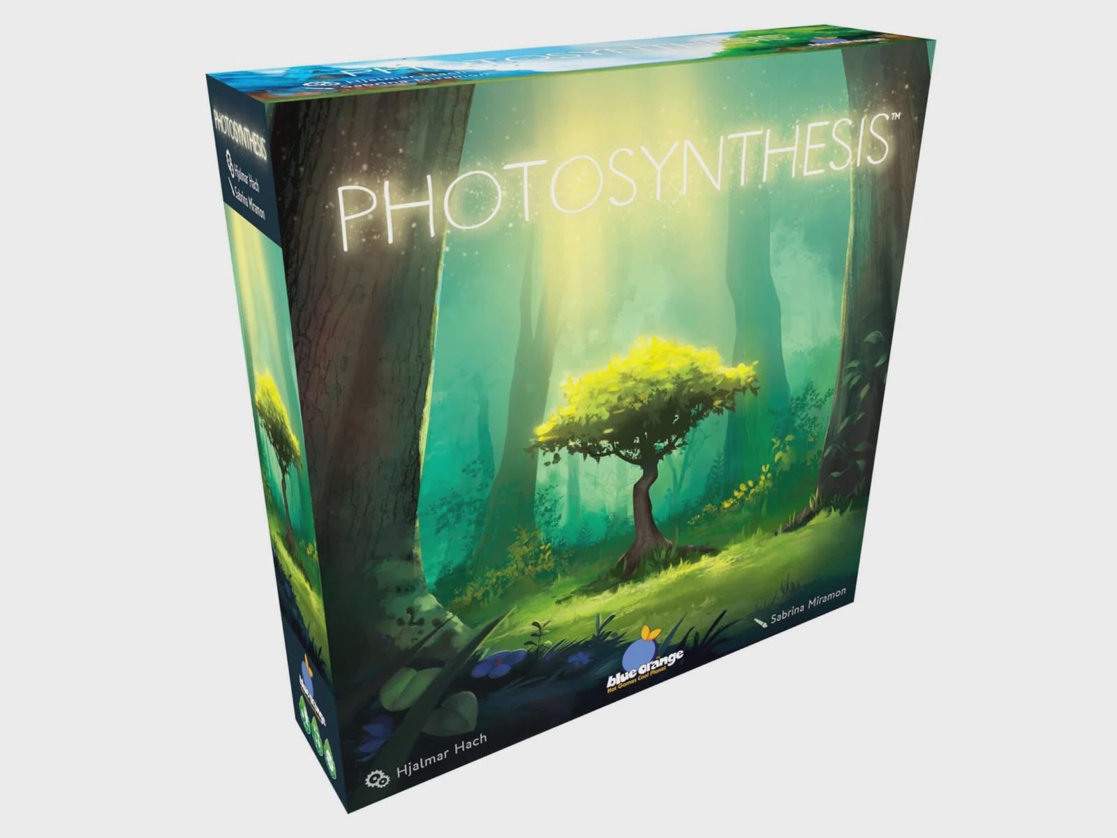 Photosynthesis, bild 2