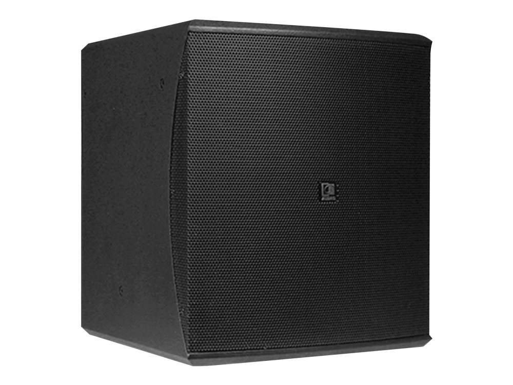 Audac BASO10 - Subwoofer - för PA-system - 225 Watt - 10 - svart, RAL 9004