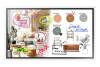 Samsung The Flip WMFX 55" interaktiv whiteboard, grå/vit