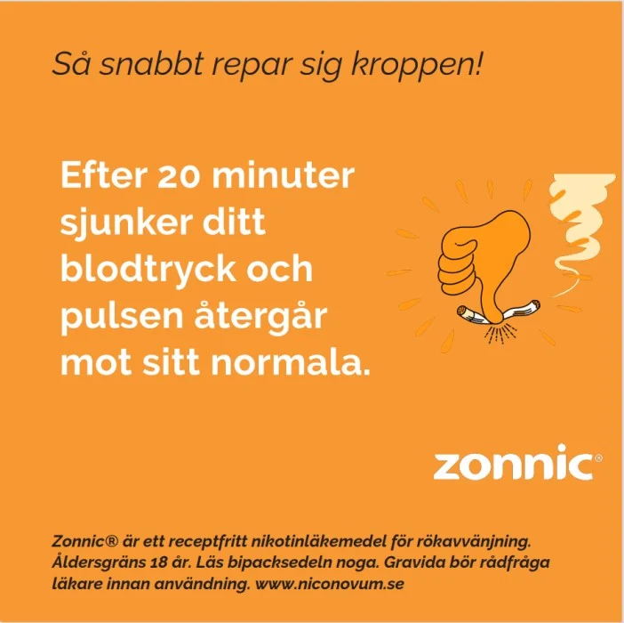 Zonnic Mint Munhålepulver Portionspåse 4mg 20 st, bild 2