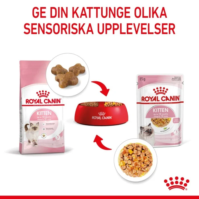 Royal Canin Kitten Jelly Våtfoder för kattunge 12x85 g, bild 3